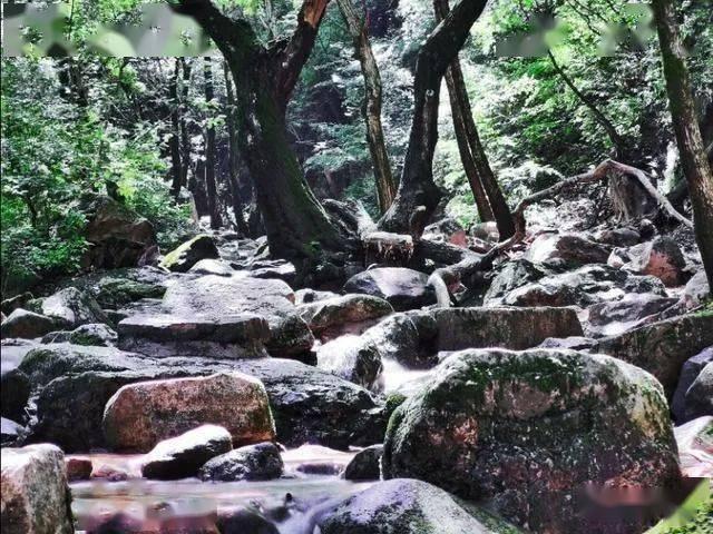逃离废弃火车站
